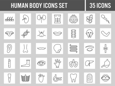 Beyaz ve Gri Kare Arkaplanda İnsan Vücut Biçimi Doğrusal Simgeler.