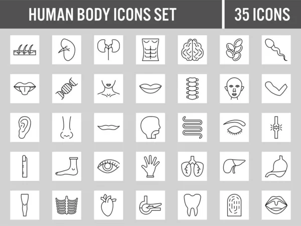 Set Human Body Part Linear Style Icons White Grey Square — Stock Vector