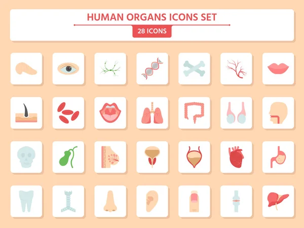 Set Human Organs Icons Square Peach Background — ストックベクタ