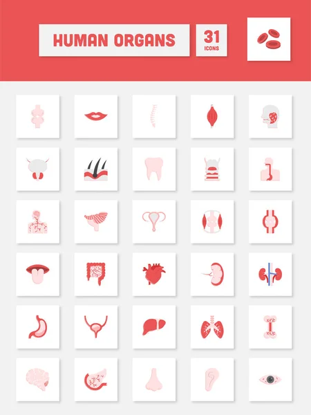 Flat Style Human Organs Square Icon Set — Stock Vector