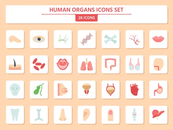 Set Human Organs Icons Square Peach Background — 图库矢量图片