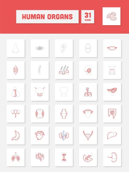 Grey Red Linear Style Human Organ Square Icon Set — Stok Vektör