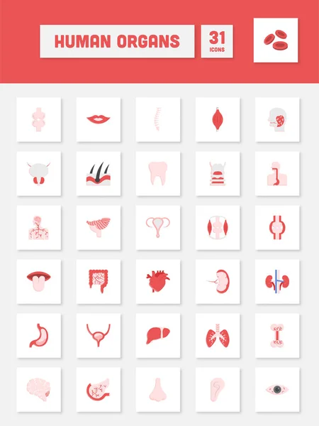 Flat Style Human Organs Square Icon Set — Archivo Imágenes Vectoriales