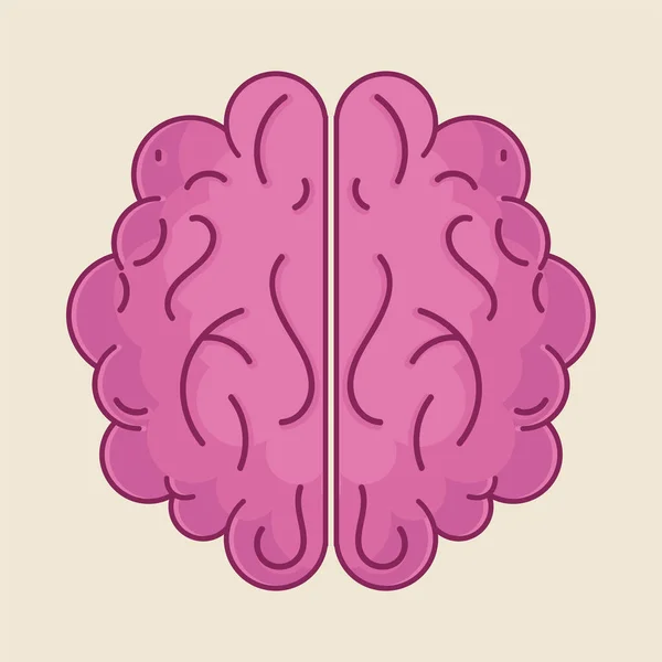 Flat Illustration Human Brain — Stock vektor