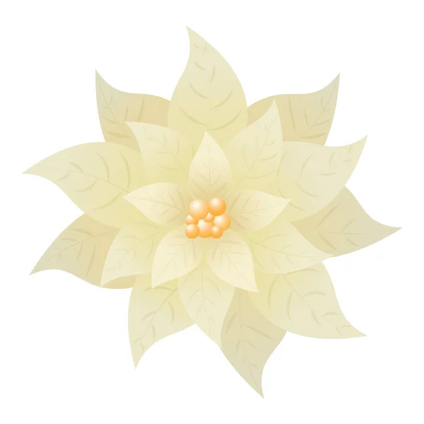 Realistic White Poinsettia Flower Background — Vetor de Stock