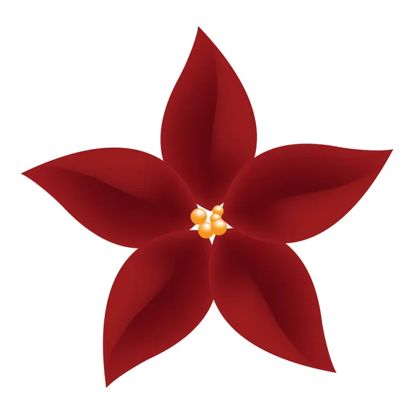 Realistic View Poinsettia Flower White Background — Stock vektor