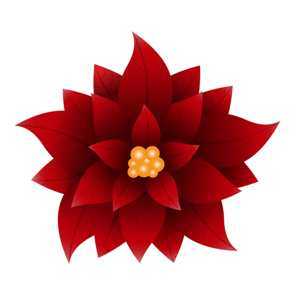 Close View Red Poinsettia Flower White Background — Stock Vector