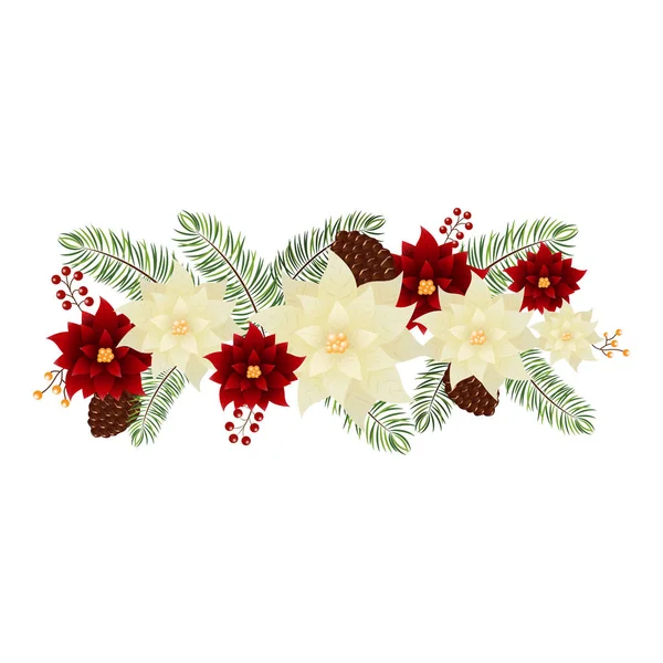 Poinsettia Flower Fir Leaves Pine Cone Berries Copy Space White — Vettoriale Stock