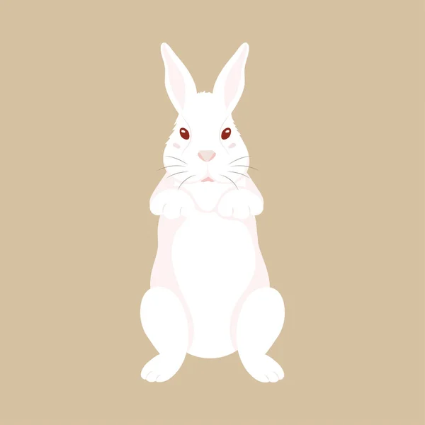 Illustrazione Carino Coniglio Piedi Sfondo Marrone — Vettoriale Stock