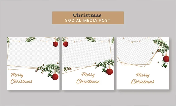 メリークリスマスソーシャルメディアポストまたはテンプレートセットバブルズハング モミの葉 ベリーステムと白い背景にスペースをコピー — ストックベクタ