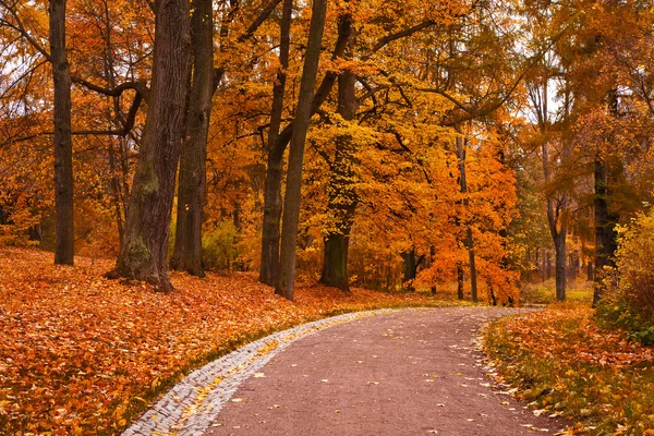 Podzimní park — Stock fotografie