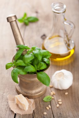 pesto sos için malzemeler