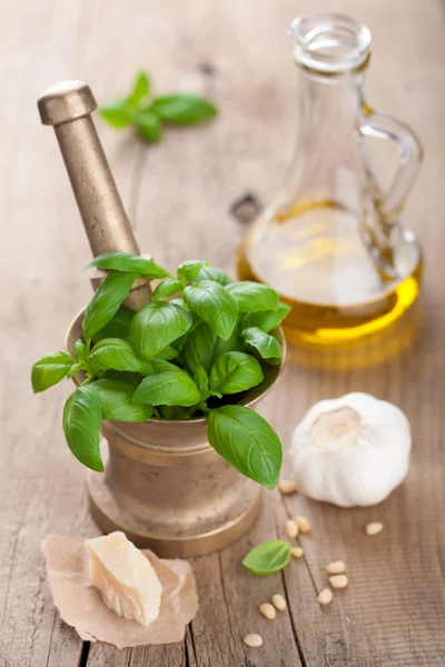 Ingredientes para salsa de pesto — Foto de Stock