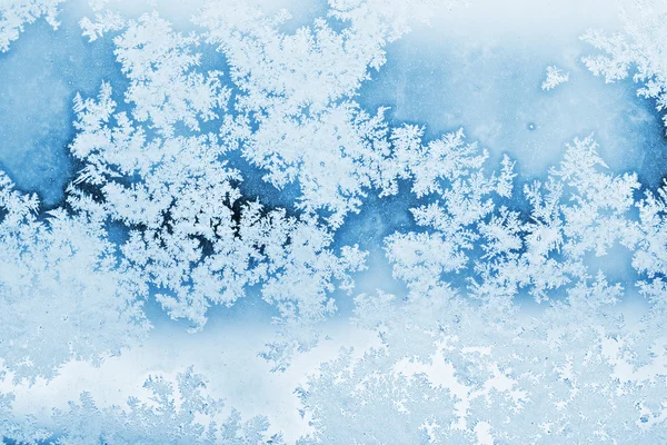 winter rime background