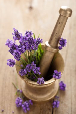 Lavanta çiçekleri ile harç