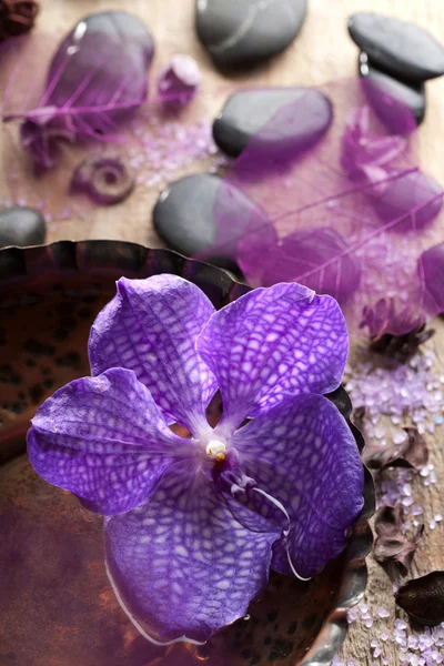 Orchid flower for spa — Stock Photo, Image