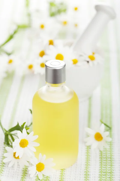 Essential oil and camomile flowers — Stock Photo, Image