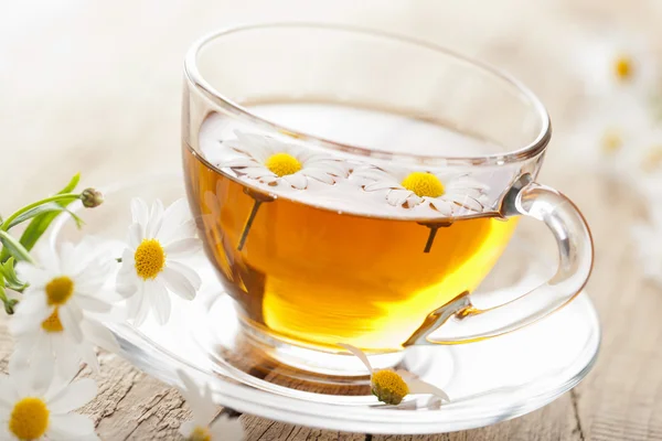 Tazza di tisana con fiori di camomilla — Foto Stock