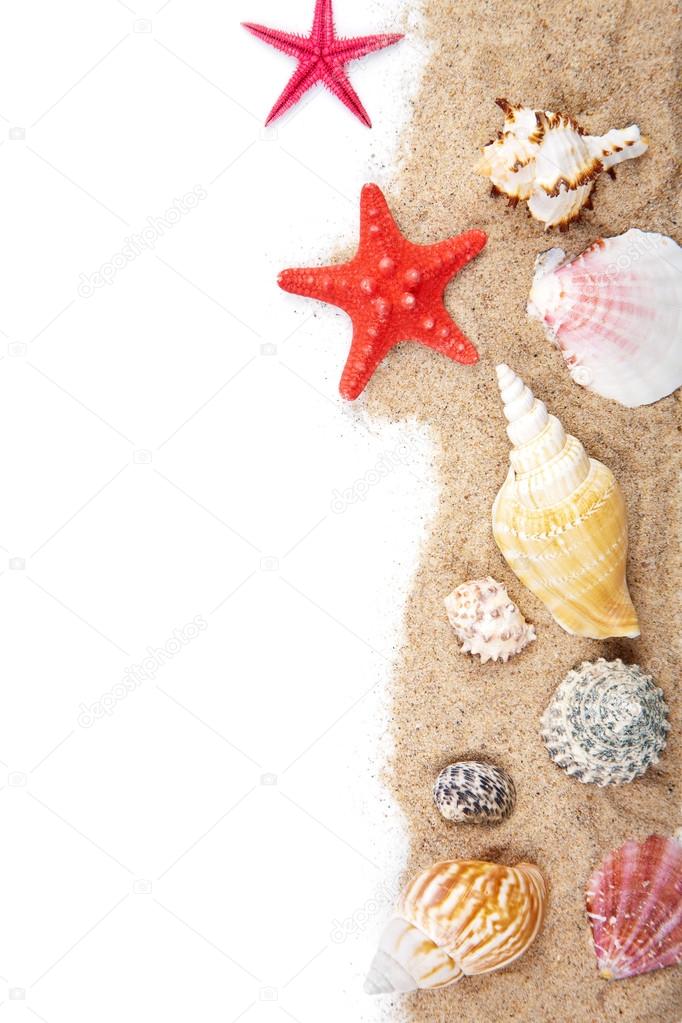 sand and sea shells isolated