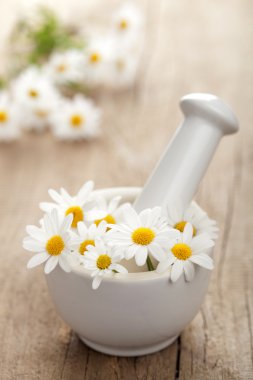 camomile flowers in mortar