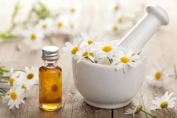 Essential oil and camomile flowers in mortar — Stock Photo, Image