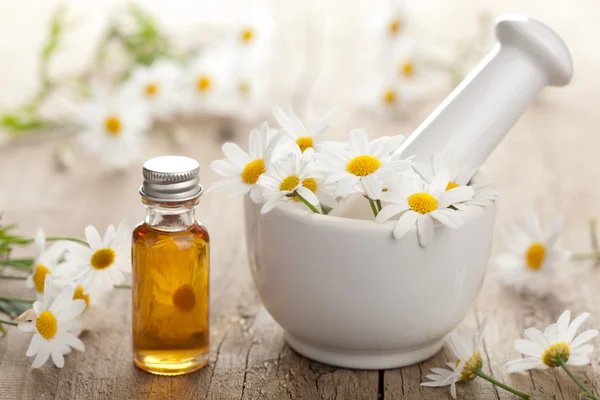 Aceite esencial y flores de manzanilla en mortero — Foto de Stock