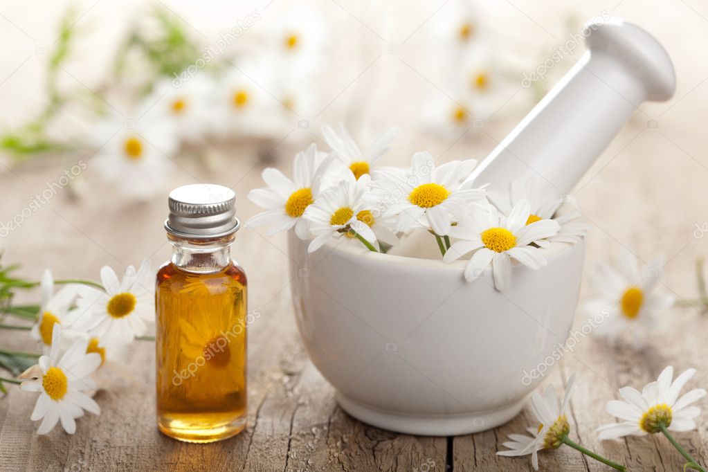 essential oil and camomile flowers in mortar