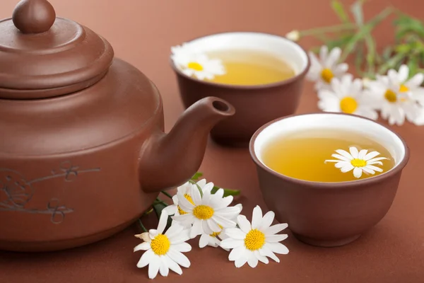 Green tea with chamomile flowers — Stock Photo, Image