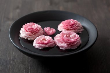 Düğünçiçeği çiçek kase