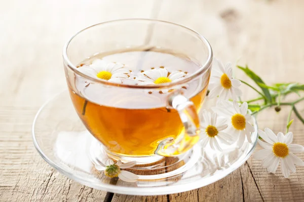 Filiżanka herbaty ziołowej z kwiatami rumianku — Zdjęcie stockowe