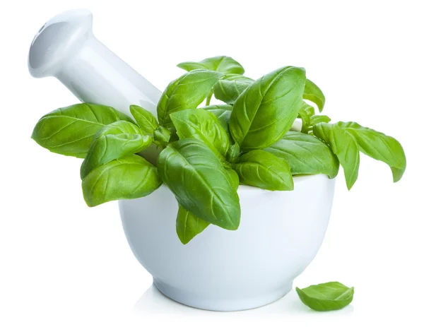 Basil in mortar isolated — Stock Photo, Image