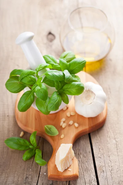 Pesto sos için malzemeler — Stok fotoğraf