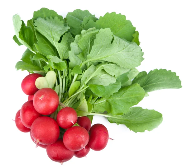 Fresh radish isolated — Stock Photo, Image