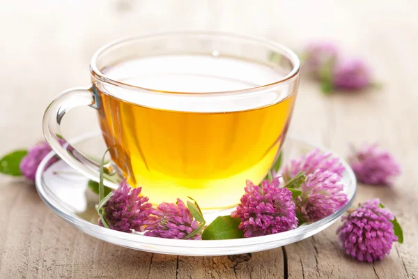 Herbal tea and clover flowers — Stock Photo, Image