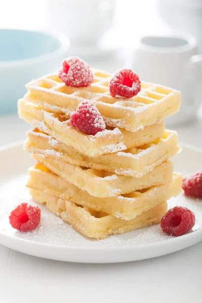 Waffel mit Himbeere und Puderzucker — Stockfoto