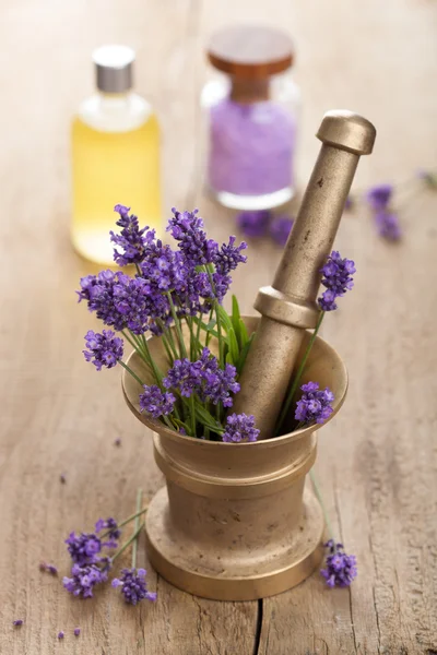 Spa set with fresh lavender — Stock Photo, Image