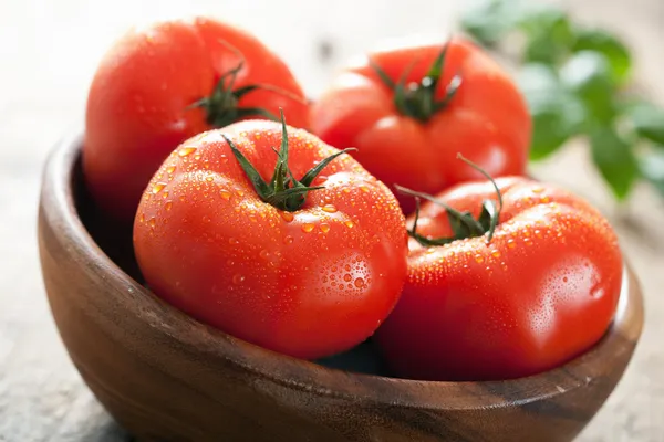 Pomodori freschi di manzo in ciotola — Foto Stock