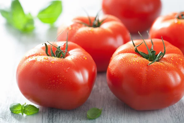 Tomates frescos de res y hojas de albahaca — Foto de Stock