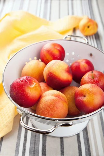 Nectarines et prunes fraîches en passoire — Photo