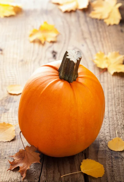 Calabaza sobre fondo de madera — Foto de Stock