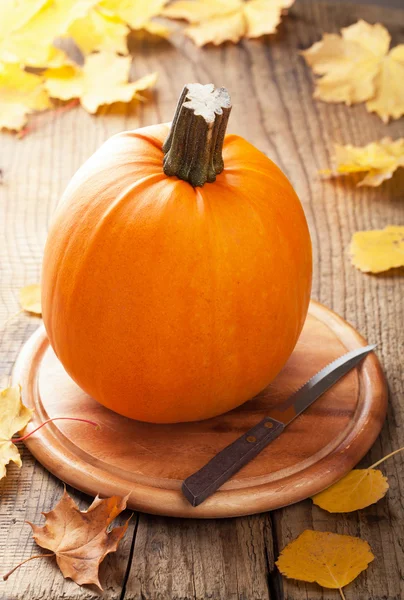 Pumpkin on wooden background — Stock Photo, Image