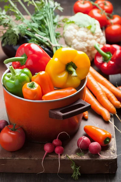 Olika färska grönsaker — Stockfoto
