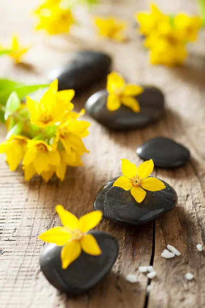 Spa stenen en gele bloemen voor spa — Stockfoto