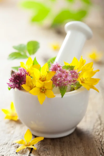 Mortar with flowers and herbs — Stock Photo, Image