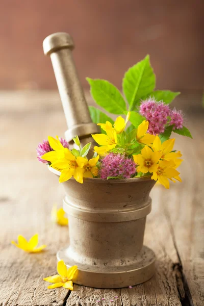 Argamassa com flores e ervas — Fotografia de Stock