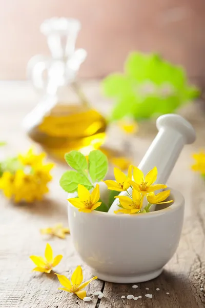 Mortar with flowers and herbs — Stock Photo, Image