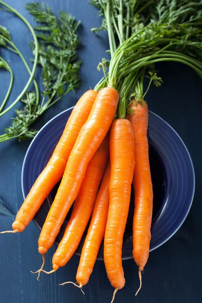 Φρέσκα καρότα πάνω από το μπλε φόντο — Φωτογραφία Αρχείου