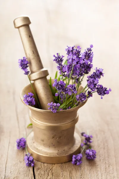 Mortel med lavendel blommor — Stockfoto