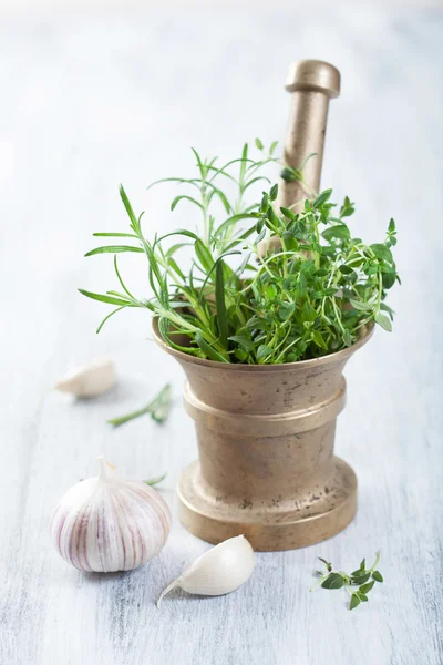 Mortar with fresh herbs and spices — Stock Photo, Image
