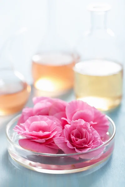 Aromatherapie en alchemie met roze bloemen — Stockfoto